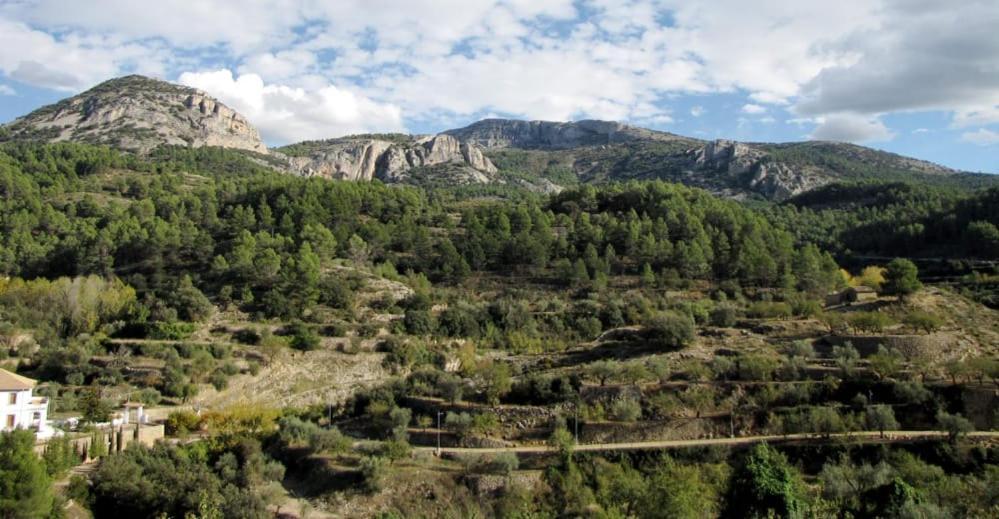 Casa Malferit Hostel Alcoleja Bilik gambar